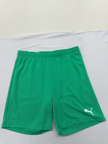 Puma Men's Green Interlock Regular Fit Shorts Size L 704942-05