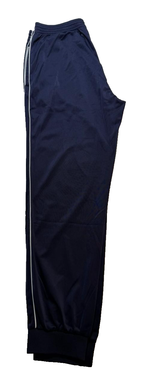 Champion Men's Tracksuit Trousers Joggers Large Navy Blue