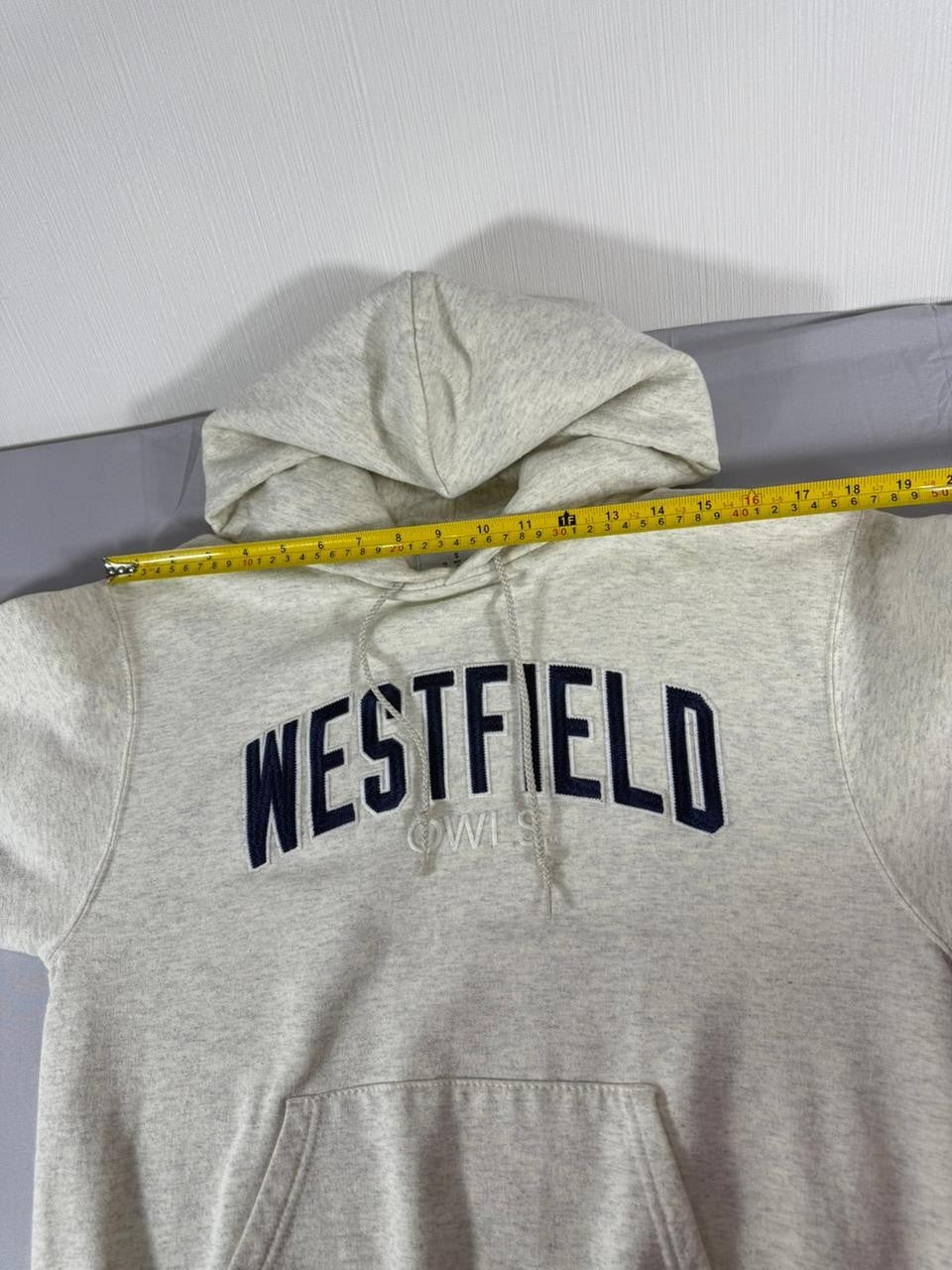 Champion Westfield Hoodie Men's Small Grey Pullover Hooded Sweatshirt